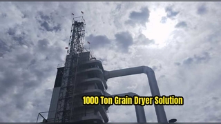 Grain harvest, weather-free! Thousand-ton continuous dryer, running 24/7 non-stop.
