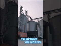 Macchina più asciutta agricola del riscaldamento di corrente d'aria calda dell'impianto di essiccazione del mais 500T/D
