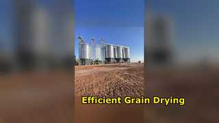 Leader tra cui il segretario dello Zimbabwe, dell'Africa, il presidente Fang di Hangjin Logistics e Gener