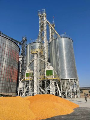 100-1000 T/D Capacità di gestione Macchine per asciugare il mais Durabilità industriale Per il processo di asciugatura del mais