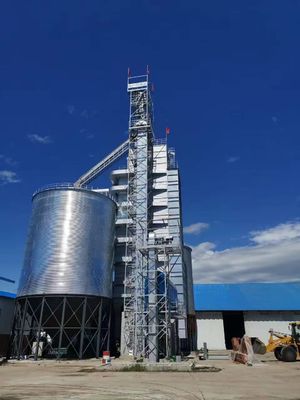 Elevatori/convogliatori ad alta capacità di grano Funzionamento ecologico Opzionale Compatibilità con la biomassa Alternative