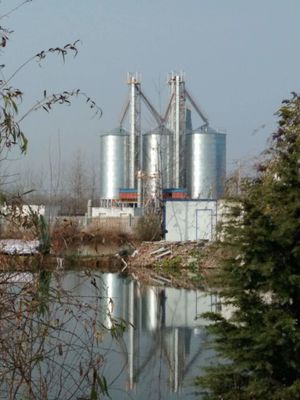Macchina per l'essiccazione del riso Temperatura regolabile per l'essiccazione senza muffe di diverse varietà di riso