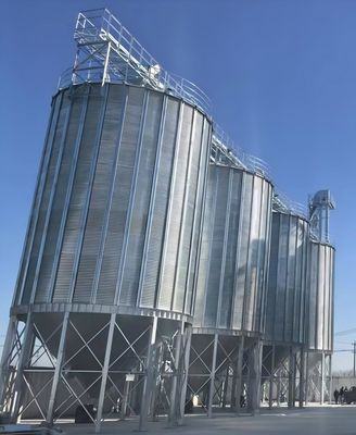 Massimizza il rapporto costo-efficacia delle tue operazioni con le nostre soluzioni su misura per il budget del silo di grano in acciaio