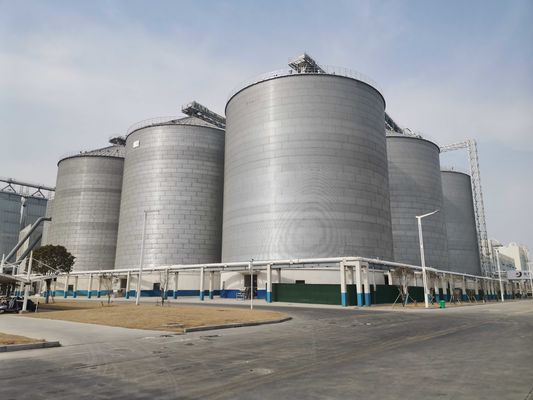 Progettazione verticale Silo di grano in acciaio per la prevenzione dell'umidità e l'efficienza spaziale