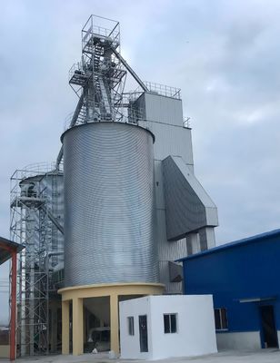 Riduzione dell'umidità del 3-15% Asciugatrice di paddy con capacità di gestione di 60-1000 T/D e supporto post-vendita di 1 anno