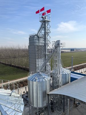600 tonnellate del riso di macchina dell'essiccatore, doppio risparmio centrifugo del combustibile dell'essiccatore della risaia