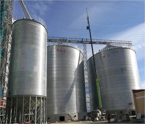 Porta il tuo business al livello successivo con il silo di stoccaggio del grano Supporto completo da professionisti dedicati
