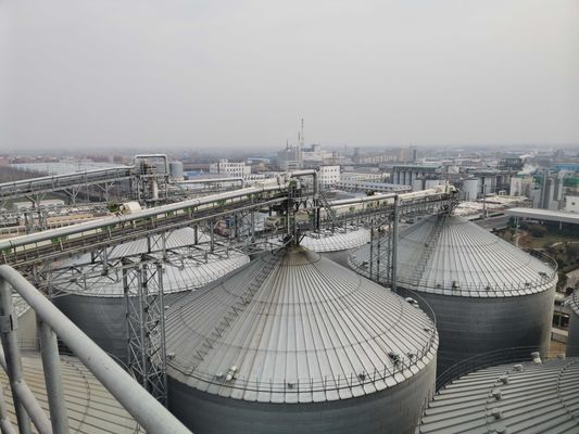 Sigillazione ermetica e tecnologia anti-danno Silos di grano in acciaio per la conservazione cruciale nelle industrie agricole
