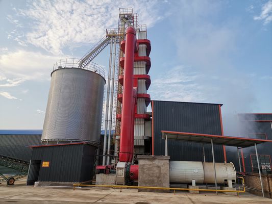 Essiccatore a Controcorrente Intelligente per Mais – Oltre 30 Anni di Esperienza, Progettato per l'Eccellenza Globale